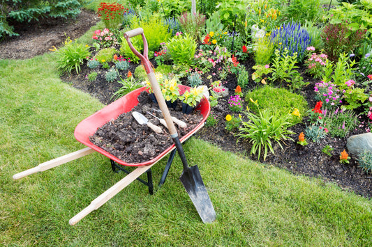 Essential Tips to Get Your Landscape Ready for Spring