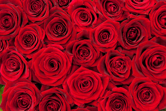 The Timeless Tradition of Red Roses on Valentine's Day