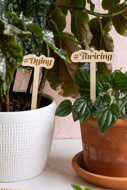 Wooden Plant Markers