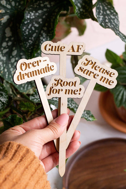 Wooden Plant Markers