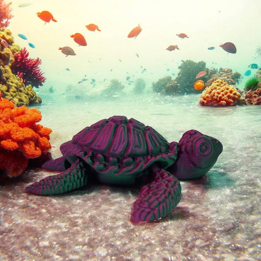 Seagrass Sea Turtle