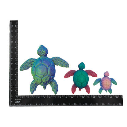 Seagrass Sea Turtle