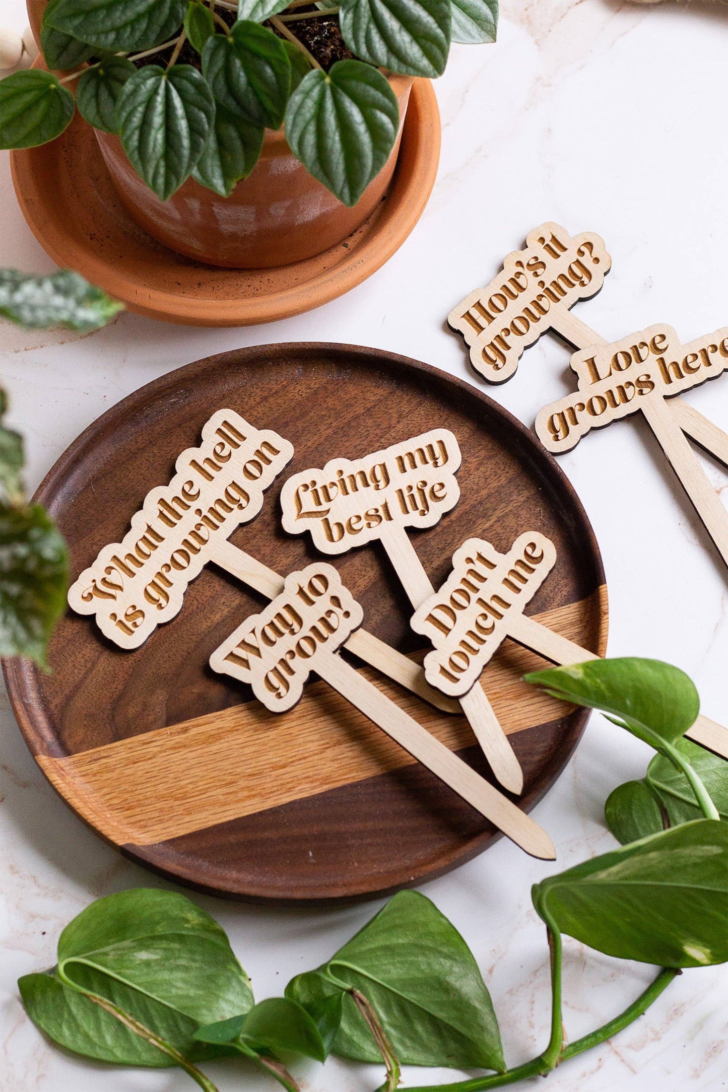 Wooden Plant Markers