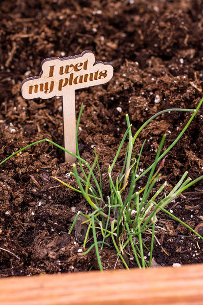 Wooden Plant Markers