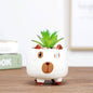 Cute Critter Planter