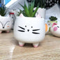 Cute Critter Planter