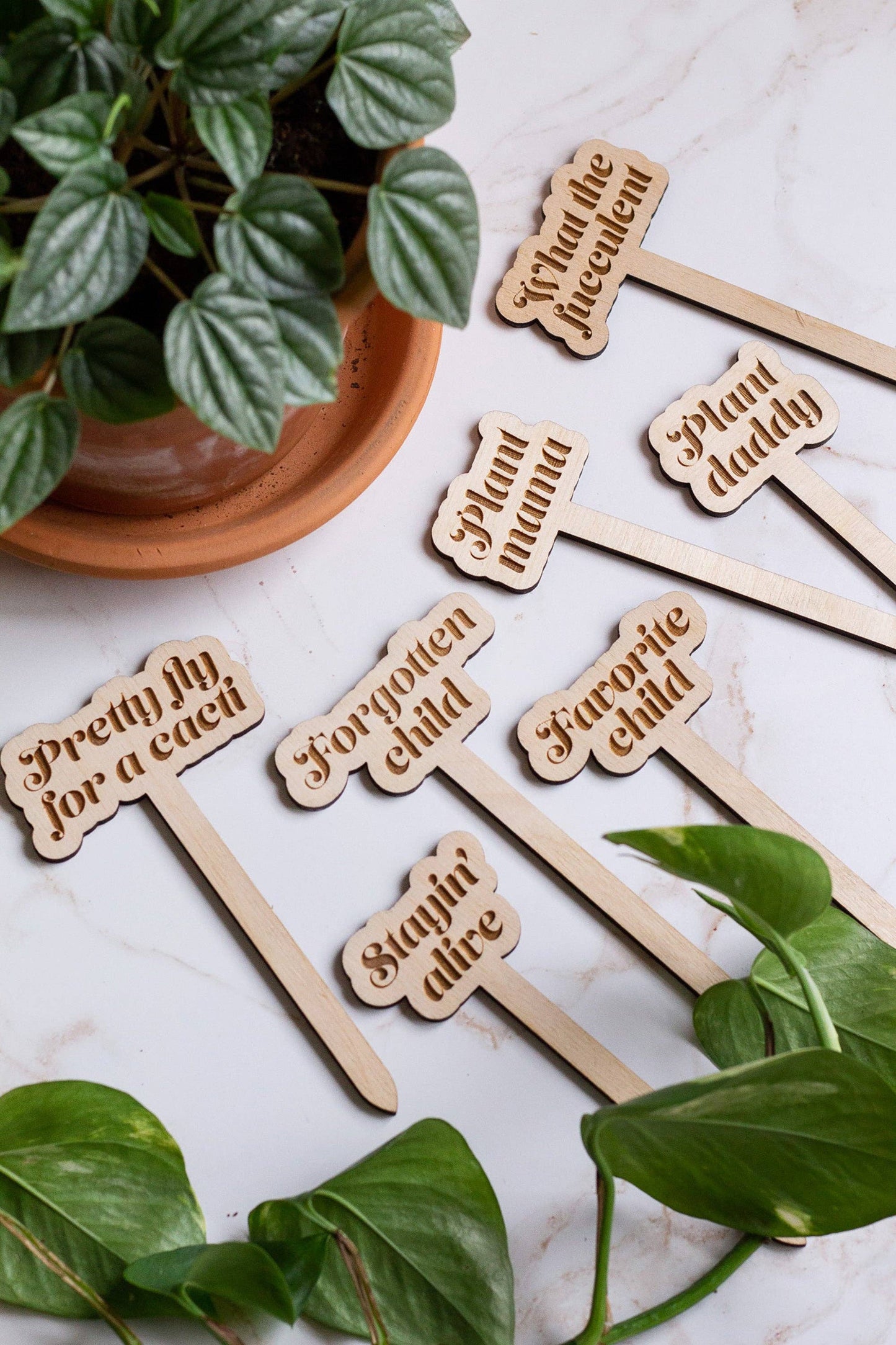 Wooden Plant Markers