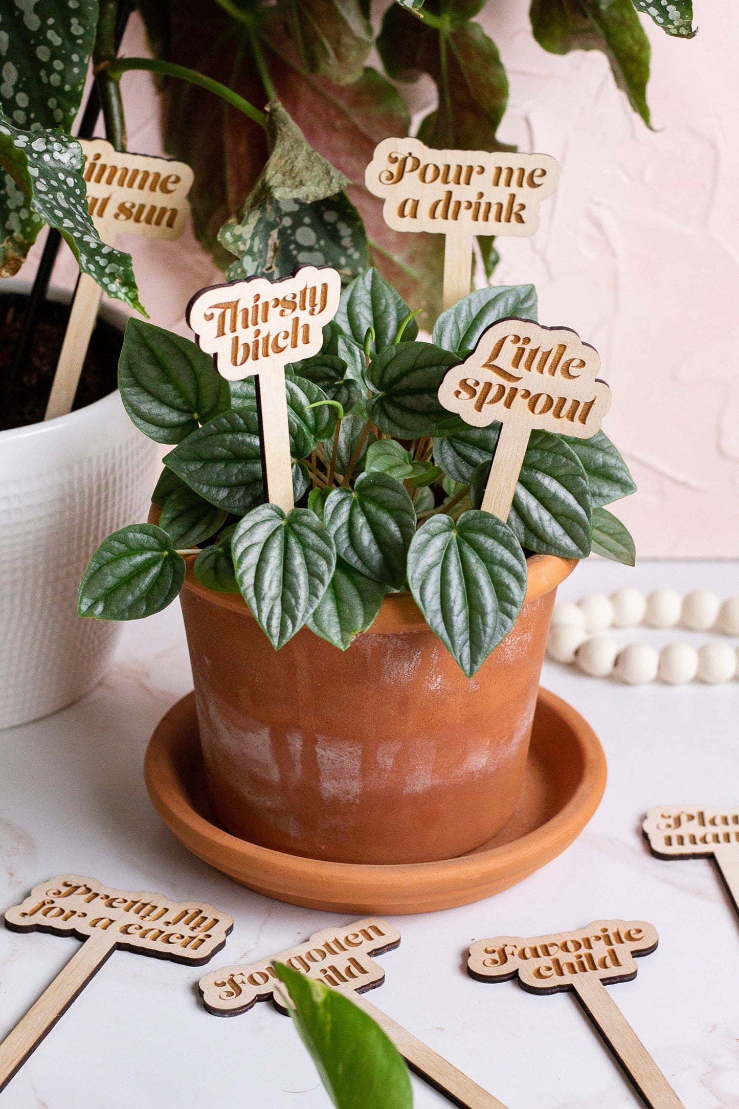 Wooden Plant Markers