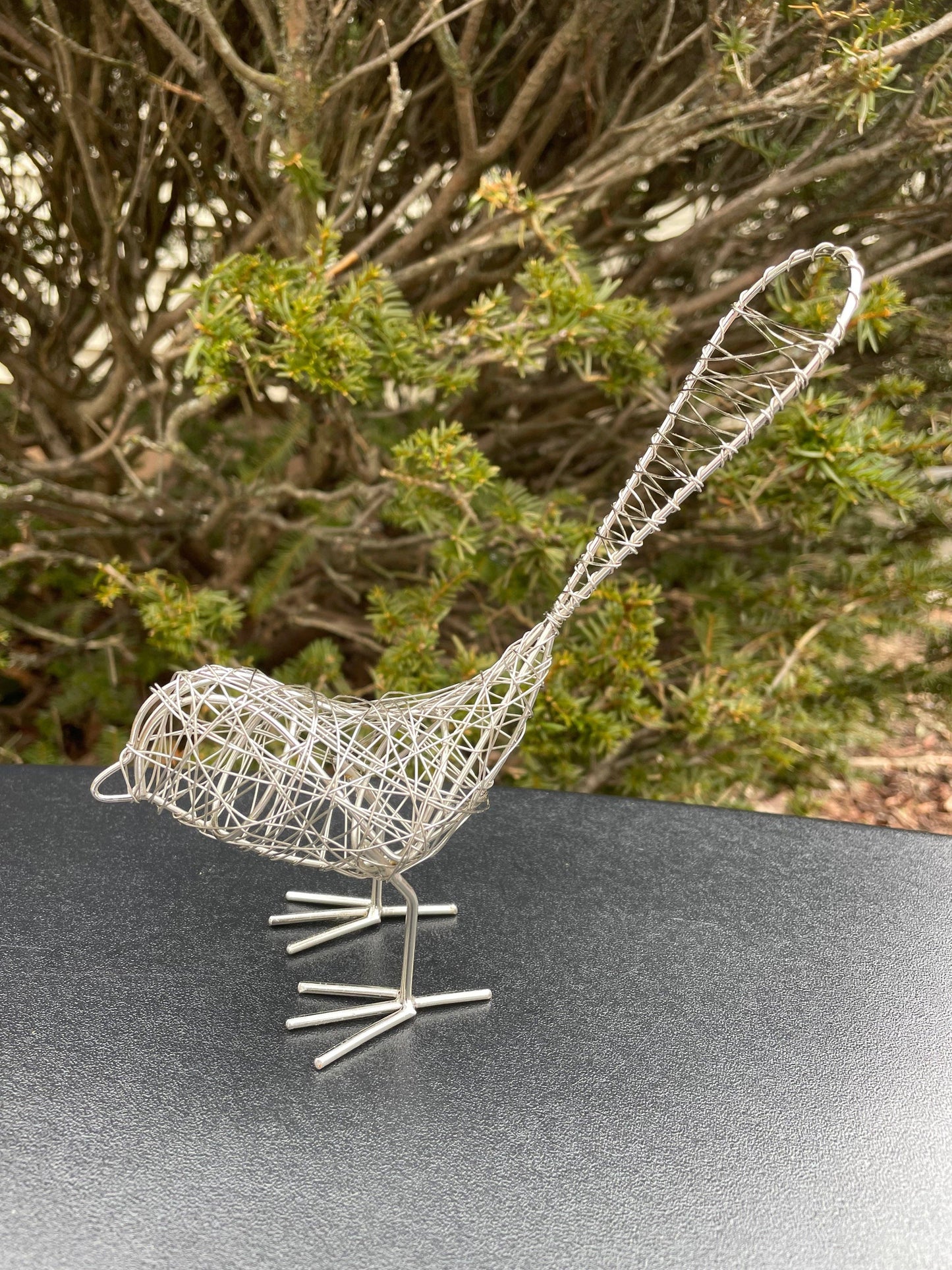 Wire Birds